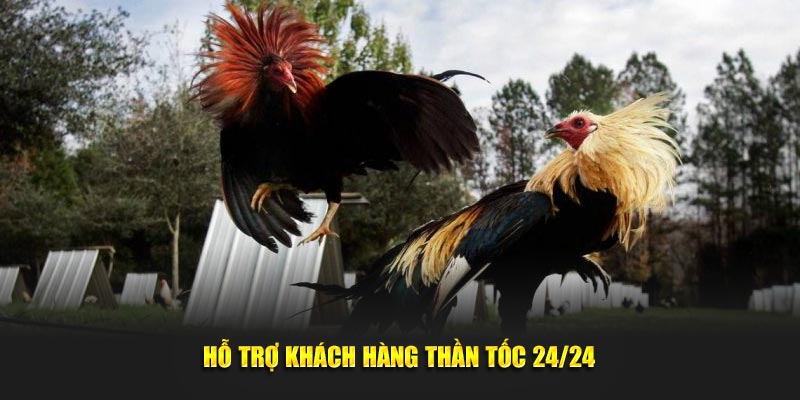 Hỗ trợ khách hàng thần tốc 24/24