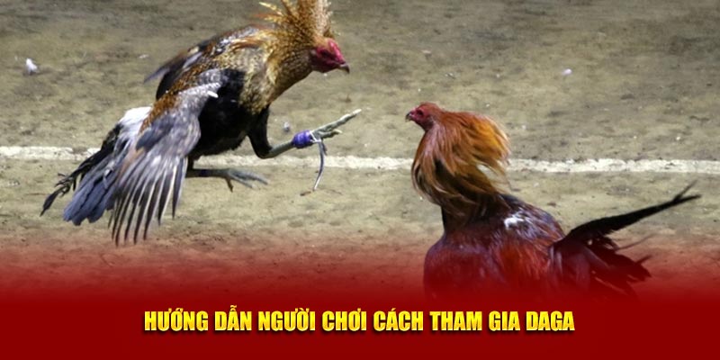 Hướng dẫn người chơi cách tham gia Daga