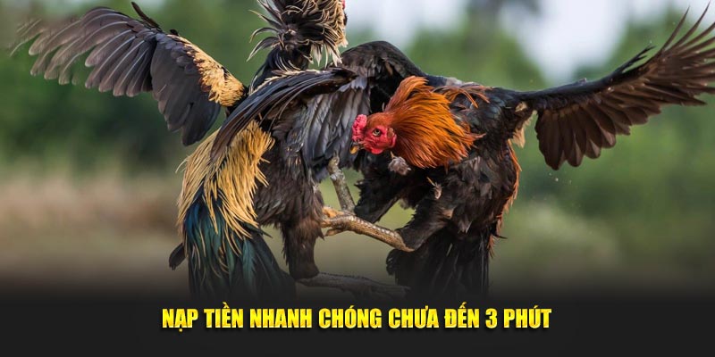 Nạp tiền nhanh chóng chưa đến 3 phút