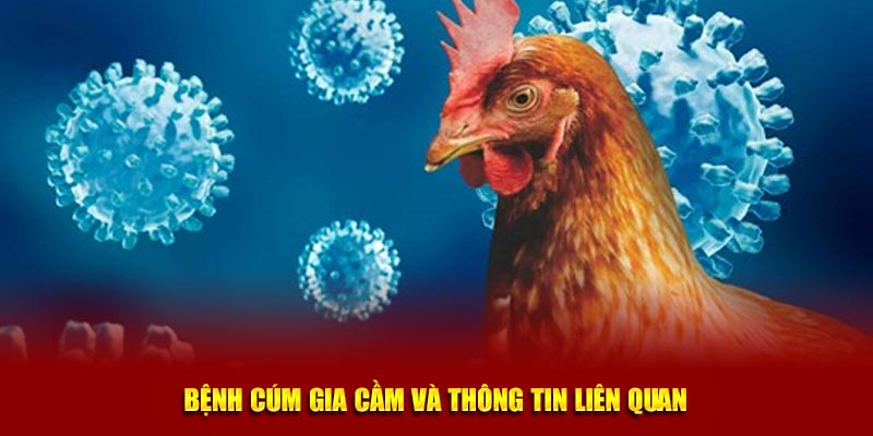 Bệnh cúm gia cầm và thông tin liên quan