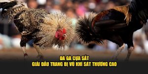 Đá Gà Cựa Sắt - Giải Đấu Trang Bị Vũ Khí Sát Thương Cao