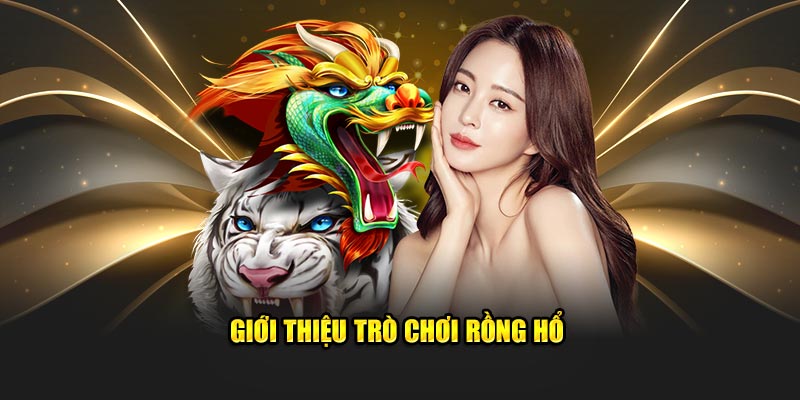 Sơ lược về tựa game rồng hổ