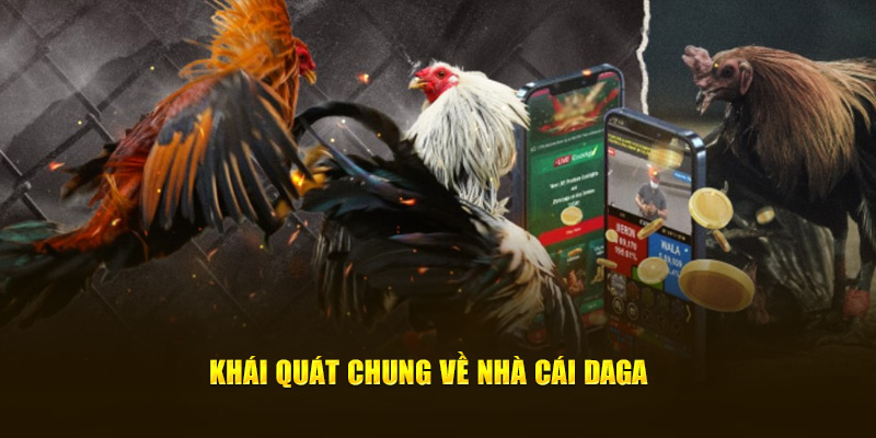 Khái quát chung về nhà cái DAGA 