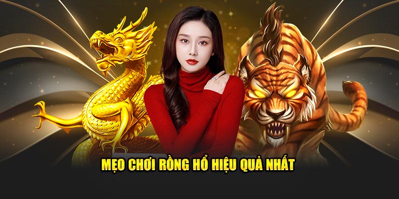 Cách chơi rồng hổ hữu nghiệm nhất