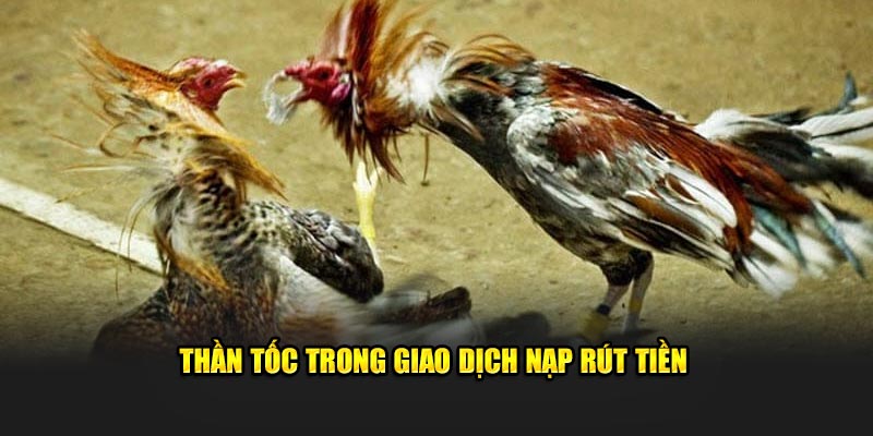 Thần tốc trong giao dịch nạp rút tiền