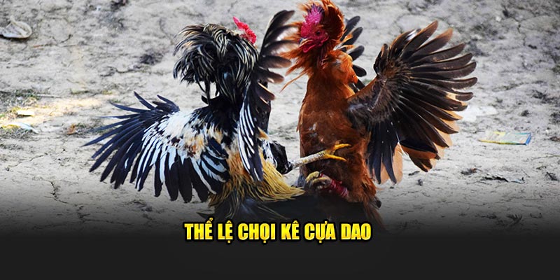 Thể lệ chọi kê cựa dao